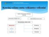 Krovinių vežimo technologijos 6 puslapis