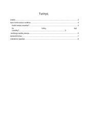 Apie amžinuosius variklius 2 puslapis