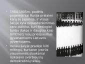 Didysis Vilniaus seimas bei politinė padėtis Lietuvoje XX a. pradžioje 3 puslapis