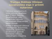 Didysis Vilniaus seimas bei politinė padėtis Lietuvoje XX a. pradžioje 8 puslapis
