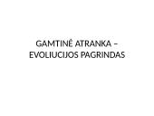 Gamtinė atranka - tai evoliucijos pagrindas 2 puslapis