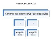 Gamtinė atranka - tai evoliucijos pagrindas 9 puslapis