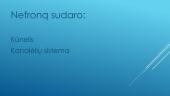 Nefrono sandara. Filtravimas. Reabsorbcija. Šlapimo susidarymas. Šlapimo sudėtis 2 puslapis
