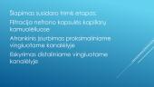 Nefrono sandara. Filtravimas. Reabsorbcija. Šlapimo susidarymas. Šlapimo sudėtis 6 puslapis
