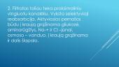 Nefrono sandara. Filtravimas. Reabsorbcija. Šlapimo susidarymas. Šlapimo sudėtis 10 puslapis