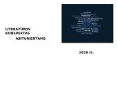 Literatūros teorija abiturientams 8 puslapis