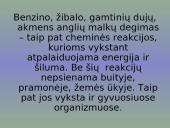Fizikiniai ir cheminiai reiškiniai 10 puslapis