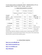 Akinių verslo planas „Happy Eyes“ 14 puslapis