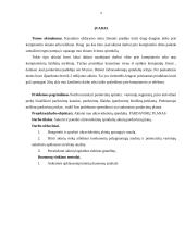 Akinių verslo planas „Happy Eyes“ 3 puslapis