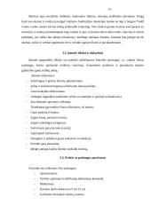 Naujos kavinės steigimas 13 puslapis