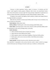 Naujos kavinės steigimas 4 puslapis