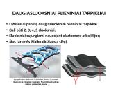 Cilindrinis dujų skirstymo mechanizmas 3 puslapis