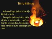 Kietosios medžiagos lydymasis 15 puslapis