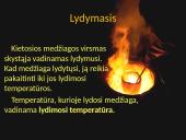 Kietosios medžiagos lydymasis 3 puslapis