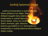 Kietosios medžiagos lydymasis 7 puslapis
