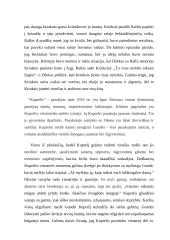 Vienišo žmogaus likimo vaizdavimas literatūroje 2 puslapis