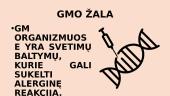 Dvi medalio pusės: GMO žala 3 puslapis