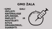 Dvi medalio pusės: GMO žala 4 puslapis