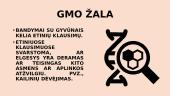 Dvi medalio pusės: GMO žala 5 puslapis