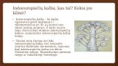 Kodėl lietuvių kalba svarbi indoeuropiečių kalbų šeimoje? 2 puslapis