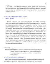 Menas mylėti ir filosofinė meilė 6 puslapis