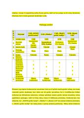 Kosmetologijos kabinetas XXX 6 puslapis
