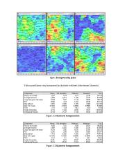Neuroniniai tinklai ir neuroskaičiavimai 15 puslapis