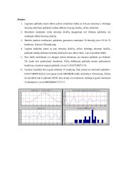 Neuroniniai tinklai ir neuroskaičiavimai 10 puslapis