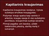 Kraujavimo rūšys ir pirmoji pagalba 3 puslapis