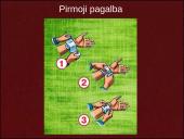 Kraujavimo rūšys ir pirmoji pagalba 6 puslapis