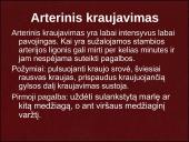 Kraujavimo rūšys ir pirmoji pagalba 7 puslapis