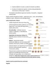 Organizmų dauginimasis, dauginimosi būdai 2 puslapis