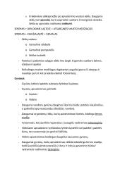 Organizmų dauginimasis, dauginimosi būdai 4 puslapis