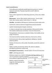 Organizmų dauginimasis, dauginimosi būdai 5 puslapis