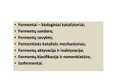 Fermentai ir vitaminai 2 puslapis