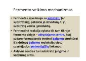 Fermentai ir vitaminai 11 puslapis