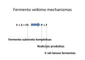 Fermentai ir vitaminai 13 puslapis