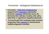 Fermentai ir vitaminai 3 puslapis