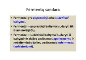 Fermentai ir vitaminai 6 puslapis