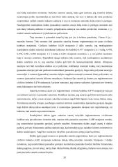 Nuoma ir panauda: panašumų bei skirtumų analizė 19 puslapis