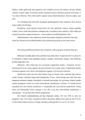 Globalinis klimato atšilimas, priežastys ir pasekmės. Referatas 9 puslapis