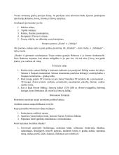 11-12 klasės literatūra 2 puslapis