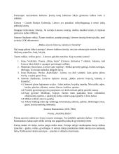 11-12 klasės literatūra 17 puslapis