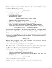 11-12 klasės literatūra 3 puslapis
