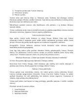 11-12 klasės literatūra 4 puslapis