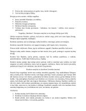 11-12 klasės literatūra 7 puslapis