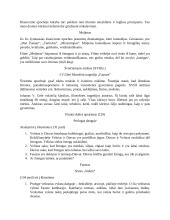 11-12 klasės literatūra 10 puslapis