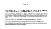 Ar įmanoma ekstremaliomis sąlygomis išsaugoti žmogiškumą ir žmogiškąjį orumą? 2 puslapis
