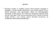 Ar įmanoma ekstremaliomis sąlygomis išsaugoti žmogiškumą ir žmogiškąjį orumą? 6 puslapis