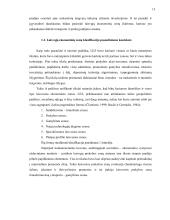 Laisvosios ekonominės zonos ir jų steigimo Lietuvoje praktika 13 puslapis